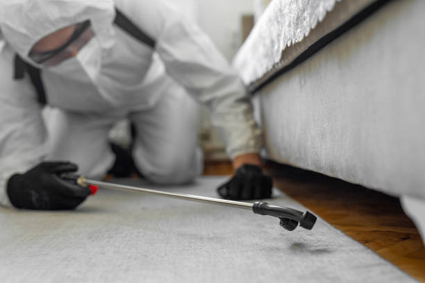 Professional Ant Control technician working in Wading River, NY